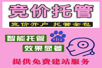竞价推广实战：案例中的优化之道