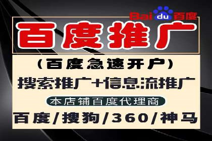 某行业SEM竞价策略的运营实践与效果